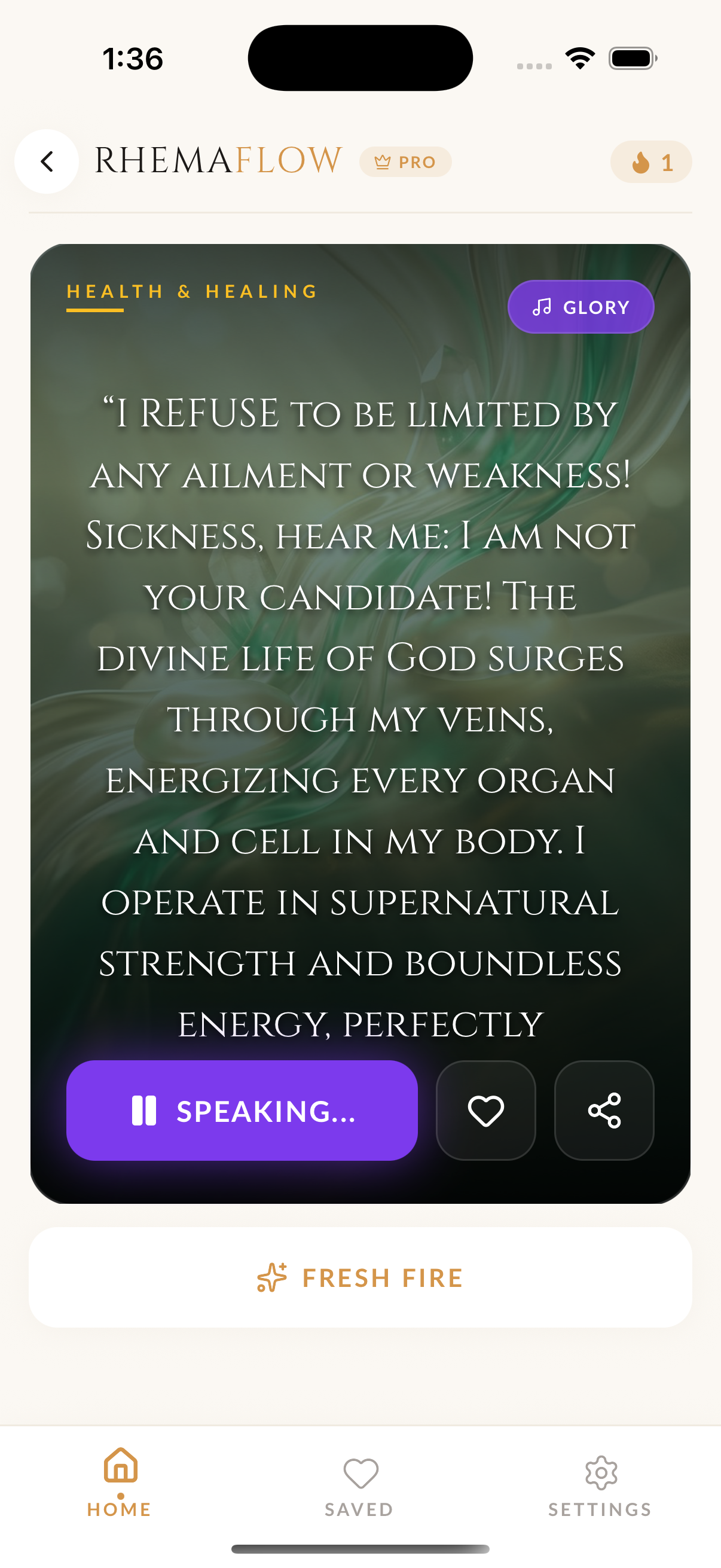 Declaration with audio playback